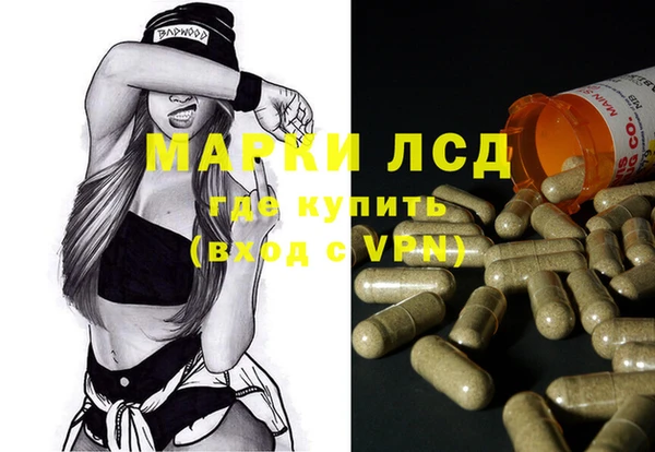 эйфоретик Алзамай