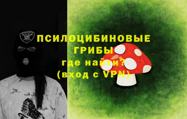 эйфоретик Алзамай